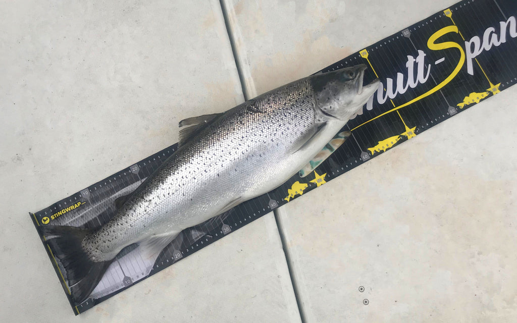 Fisch Massband PVC mit Kunststoffanschlag