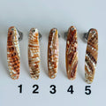 Goldfisch Premium Perlmutt-Spange 8cm