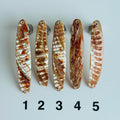 Goldfisch Premium Perlmutt-Spange 10cm