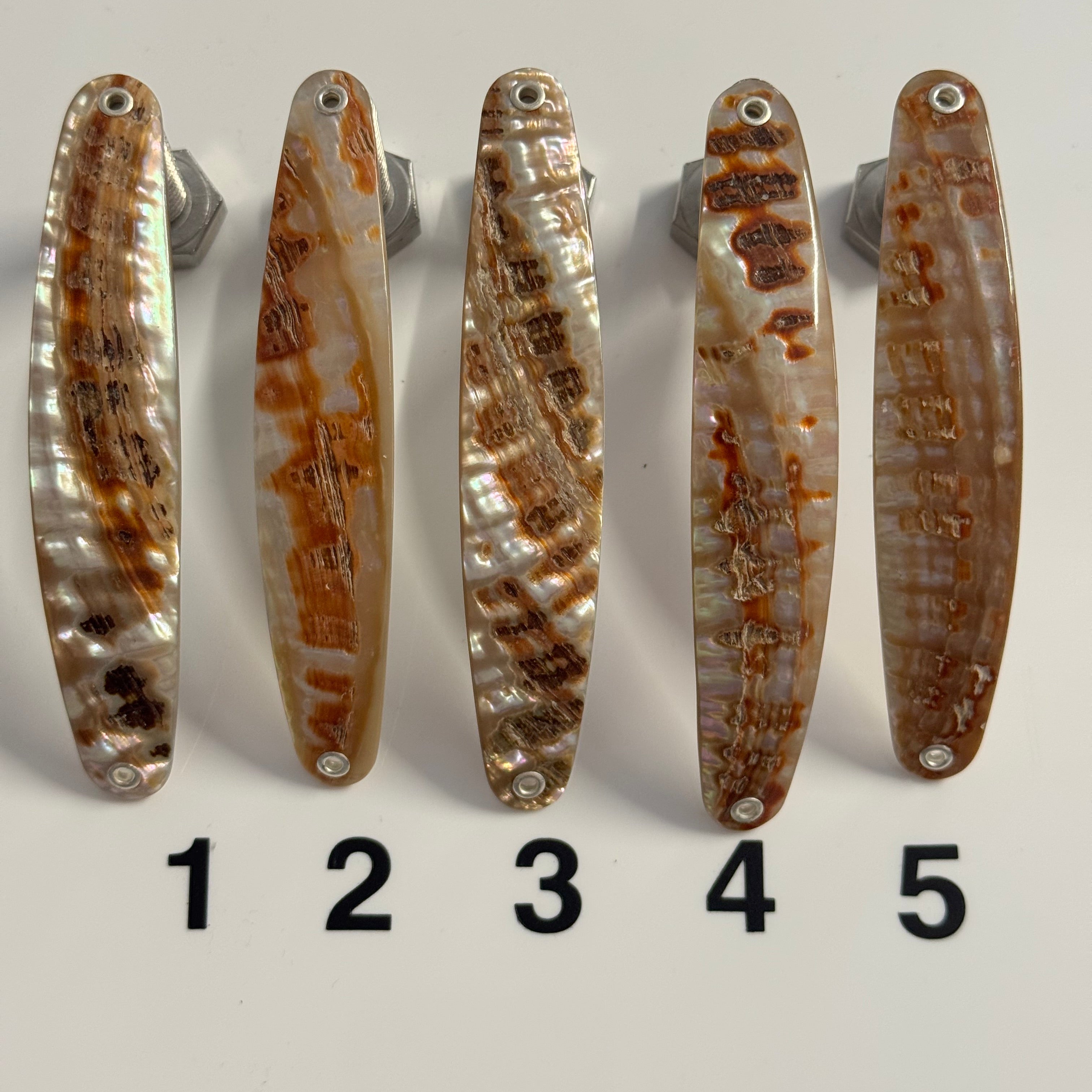 Goldfisch Premium Perlmutt-Spange 10cm