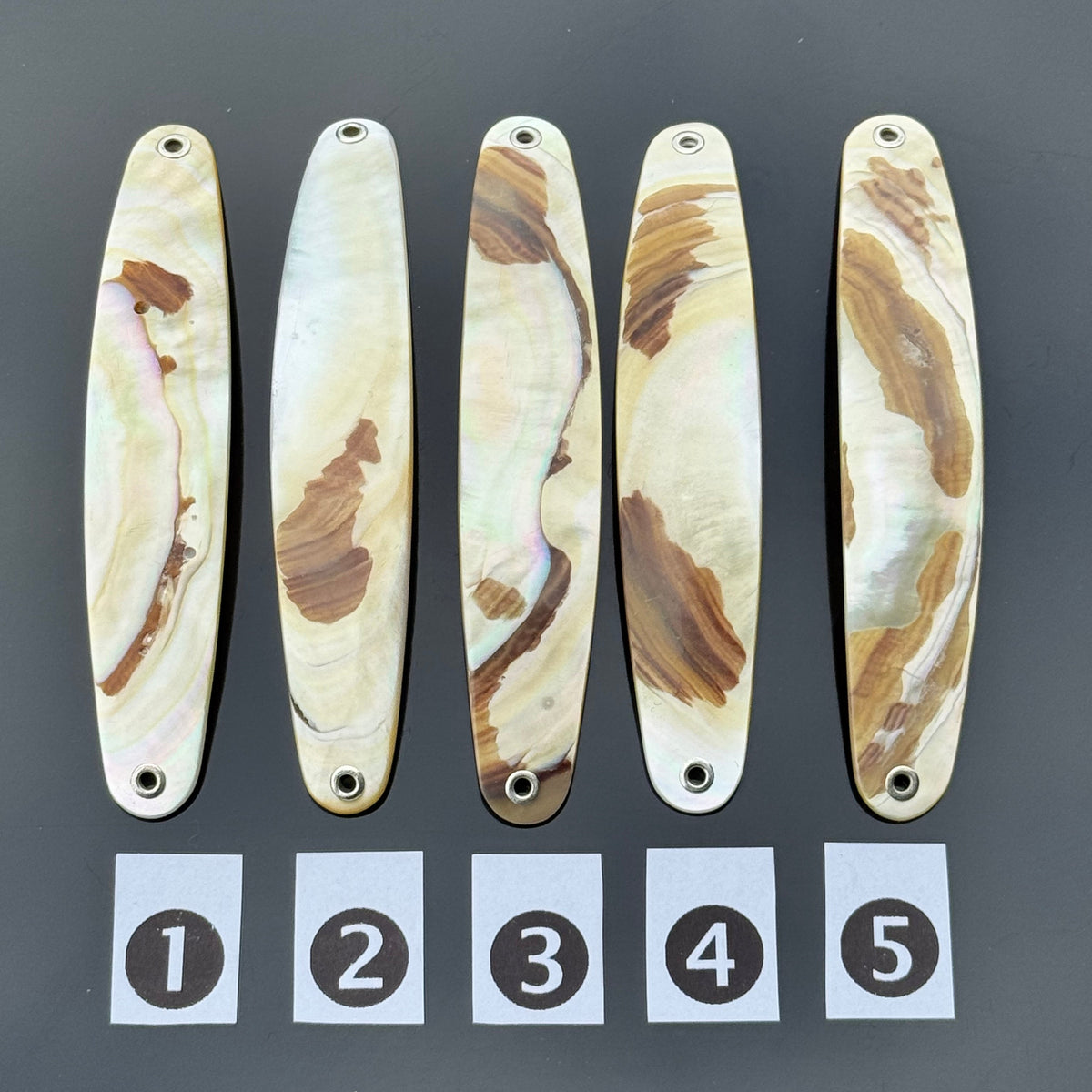 Gold Lip Premium Perlmutt-Spange 10cm