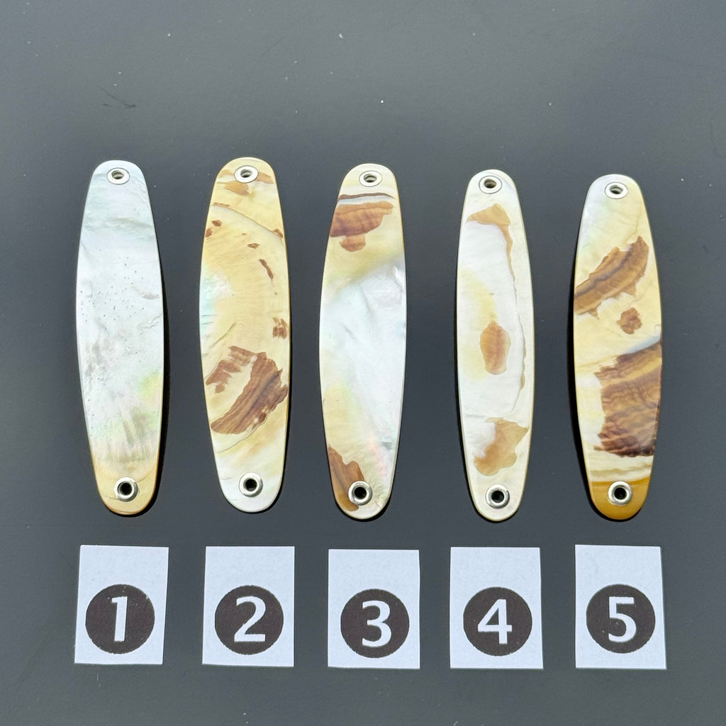 Gold Lip Premium Perlmutt-Spange 7cm