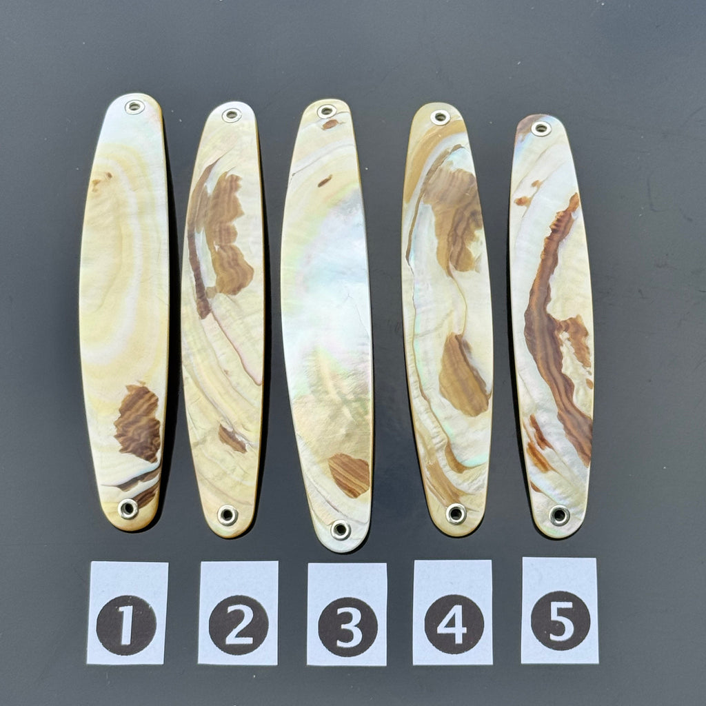 Gold Lip Premium Perlmutt-Spange 10cm