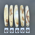 Gold Lip Premium Perlmutt-Spange 10cm