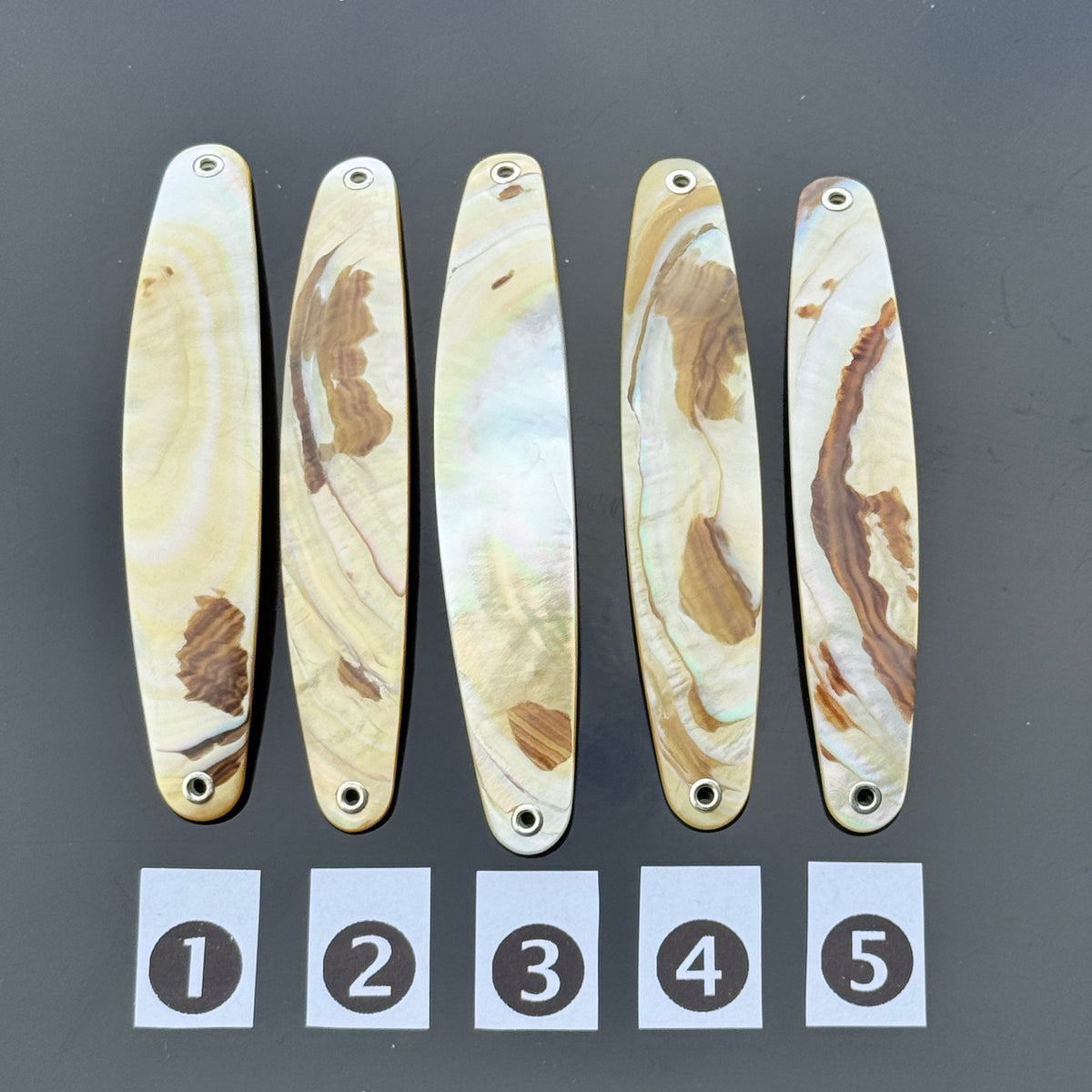 Gold Lip Premium Perlmutt-Spange 10cm