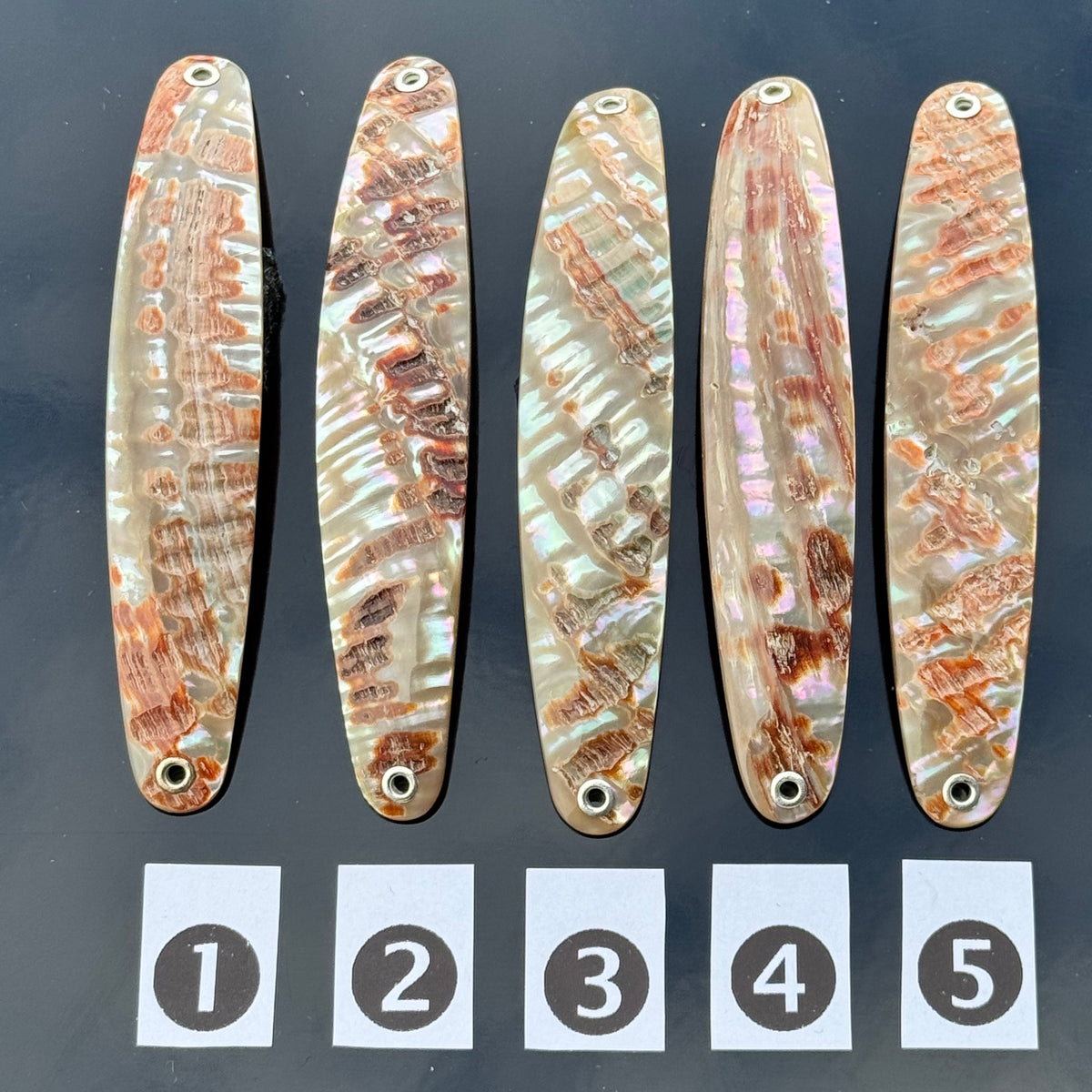 Goldfisch Premium Perlmutt-Spange 10cm