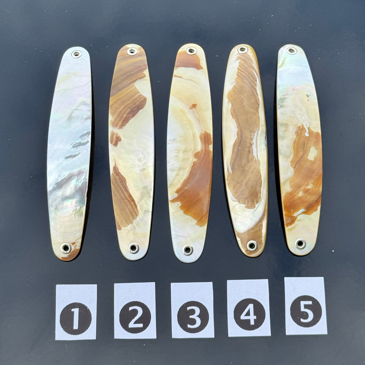 Gold Lip Premium Perlmutt-Spange 9cm