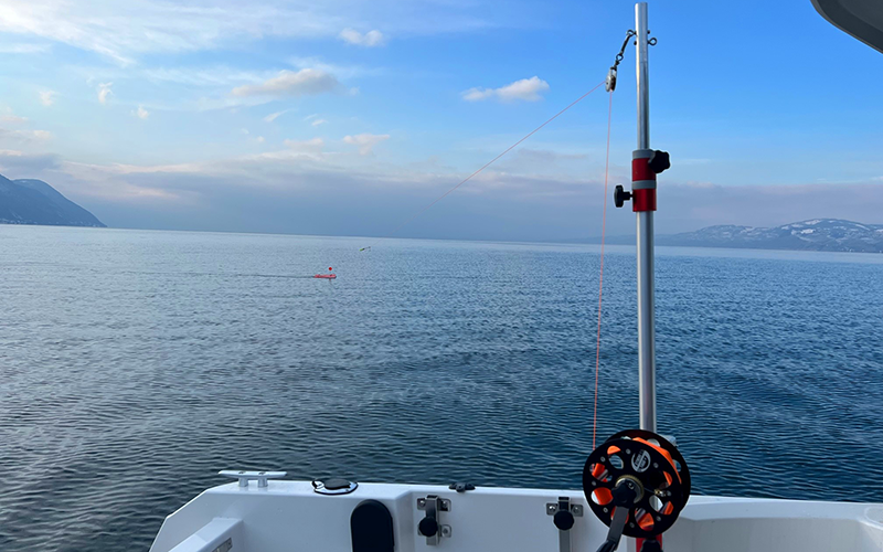 Stucki Seehundrolle mit Friktionsbremse