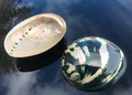 Polierte Abalone Schnecke Turmalin 14cm+