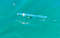 PERL®TEC Unterwasserhund Plexi