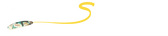 Perlmutt-Spangen.ch logo